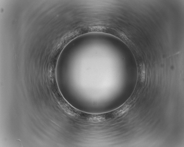 X0000057090619200509120921