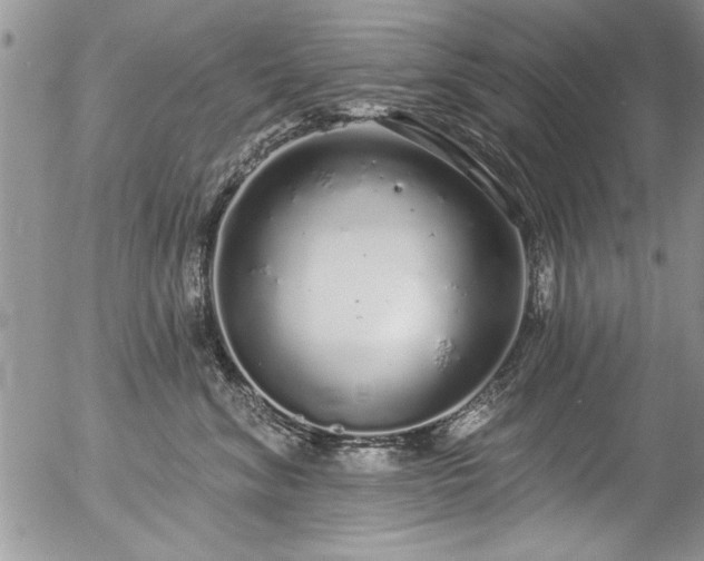 X0000057090620200509120921