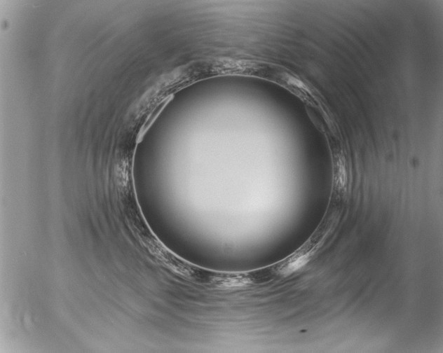 X0000057090621200509120920