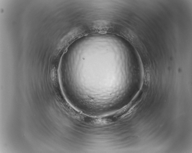 X0000057090623200509120920