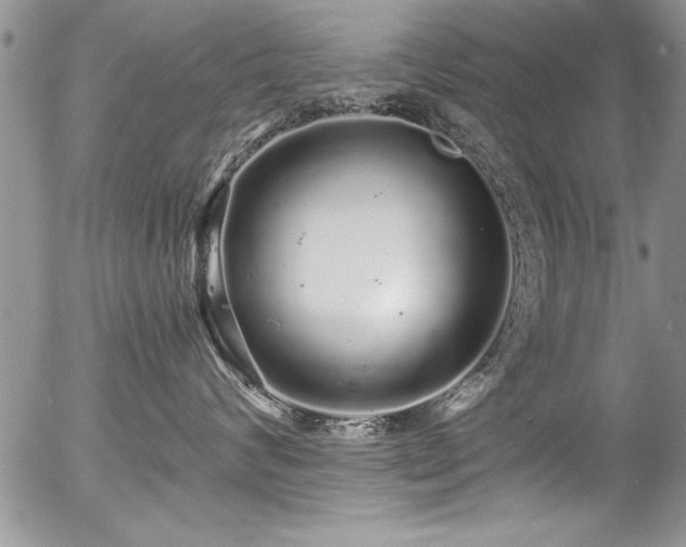 X0000057090624200509120920