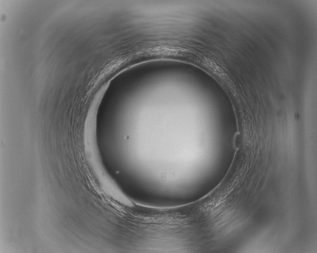 X0000057090625200509120920