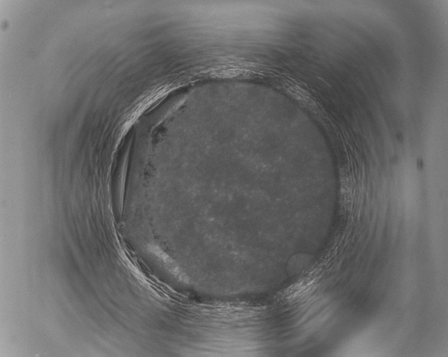 X0000057090626200509120920