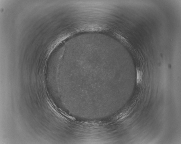 X0000057090627200509120920