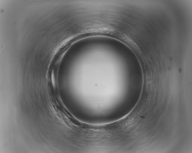 X0000057090628200509120920