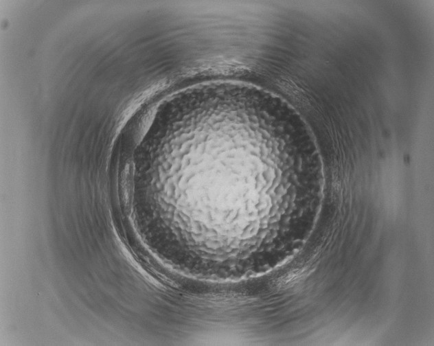 X0000057090630200509120920