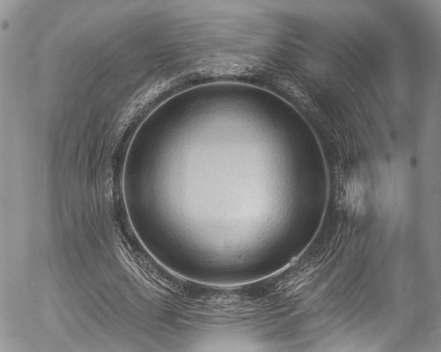 X0000057090631200509120920