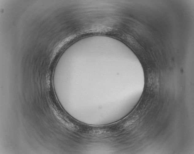 X0000057090632200509120920