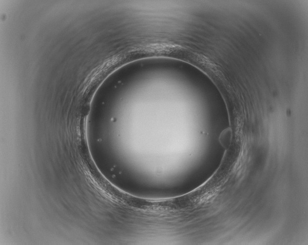 X0000057090633200509120920