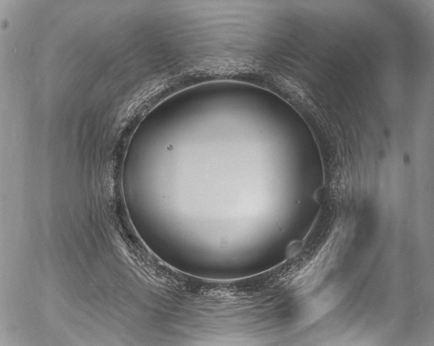 X0000057090635200509120920