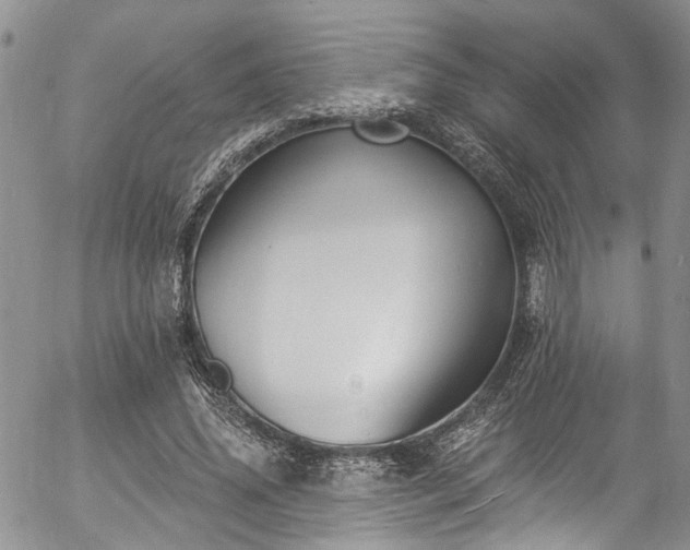 X0000057090636200509120920