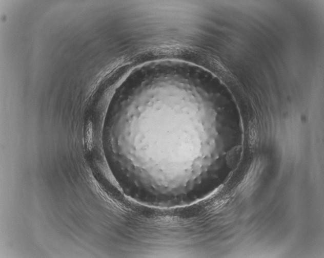 X0000057090637200509120920