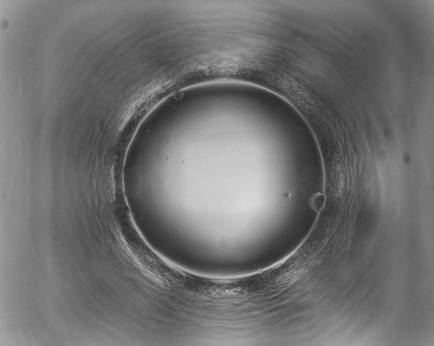 X0000057090638200509120920