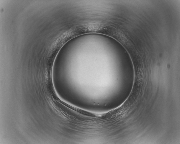 X0000057090639200509120920