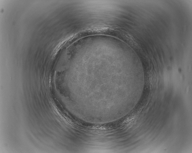 X0000057090640200509120920