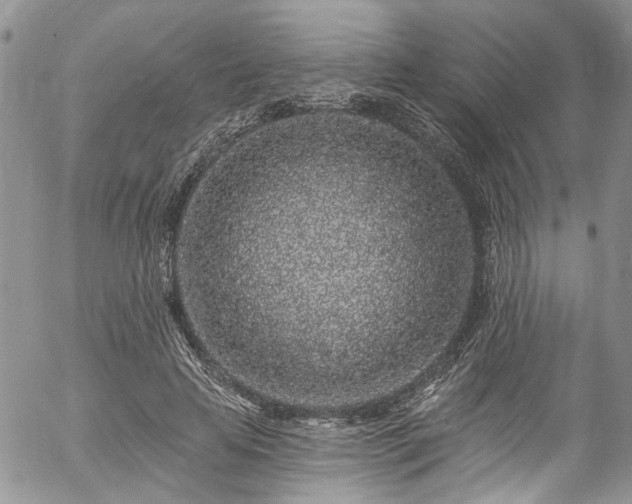 X0000057090641200509120920