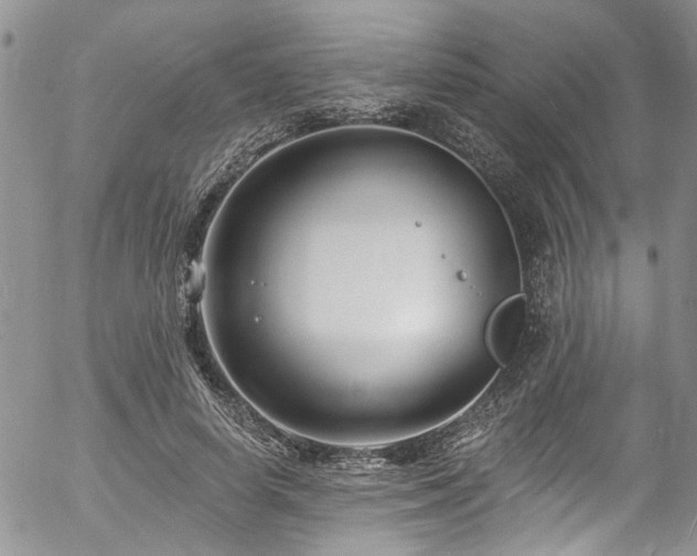 X0000057090642200509120920