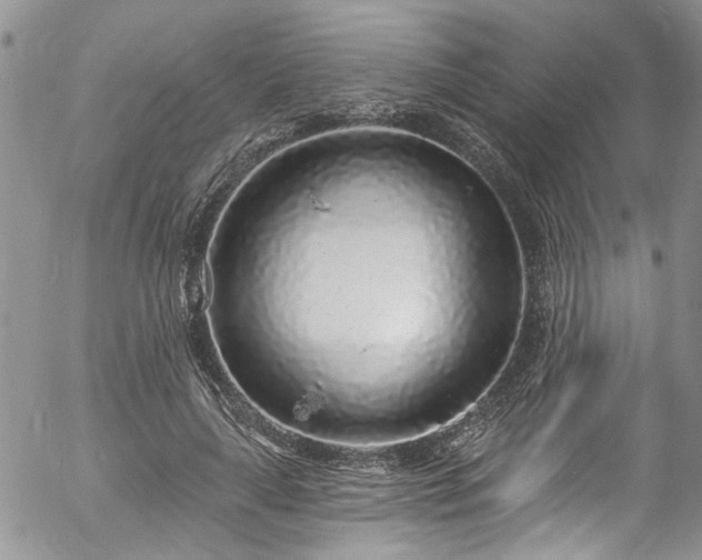 X0000057090643200509120920