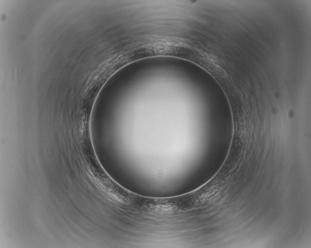 X0000057090645200509120920