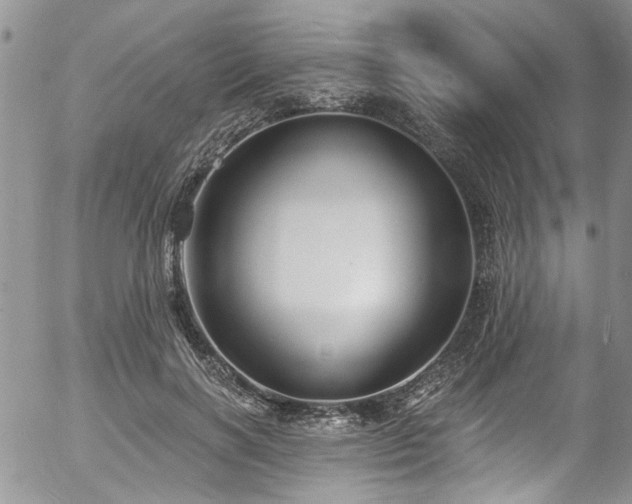 X0000057090646200509120920