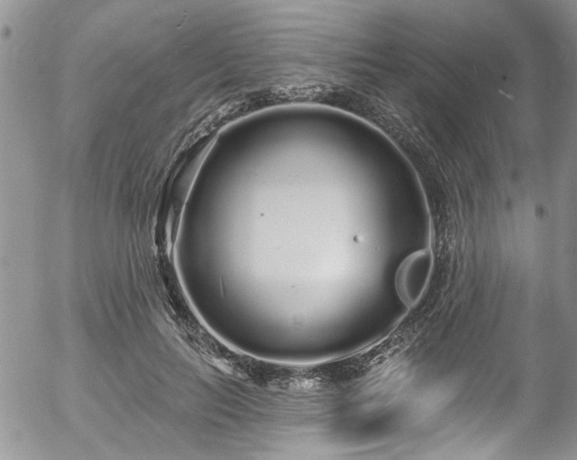 X0000057090647200509120920