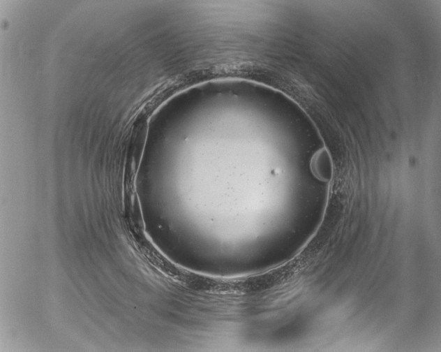 X0000057090648200509120920