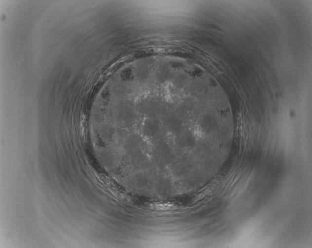 X0000057090650200509120920