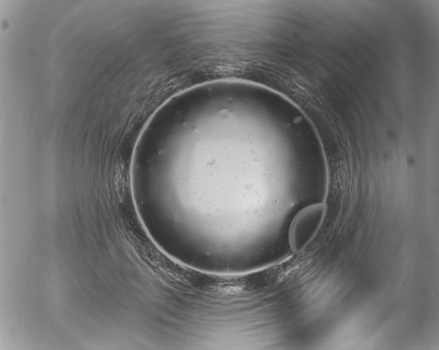 X0000057090651200509120920