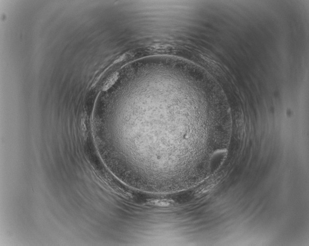 X0000057090654200509120920