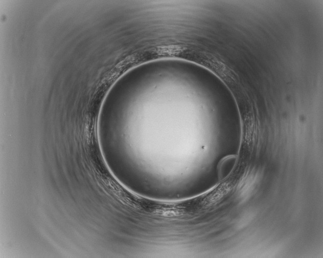 X0000057090655200509120920