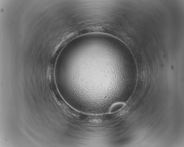 X0000057090658200509120920