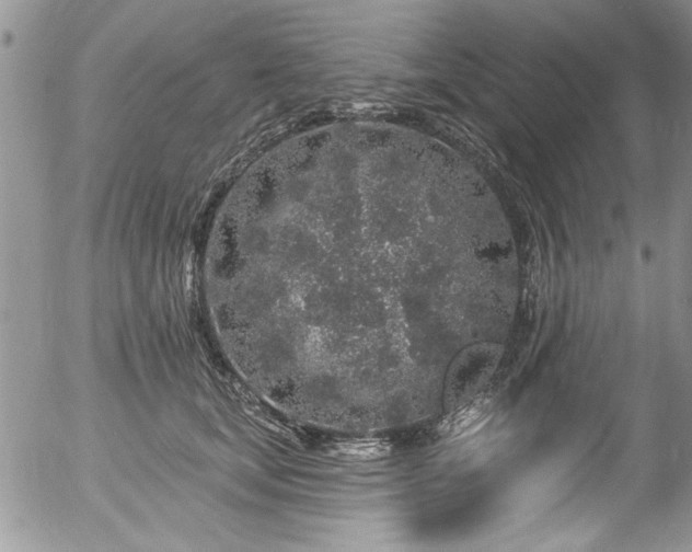 X0000057090659200509120920