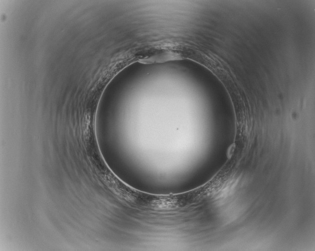 X0000057090660200509120920