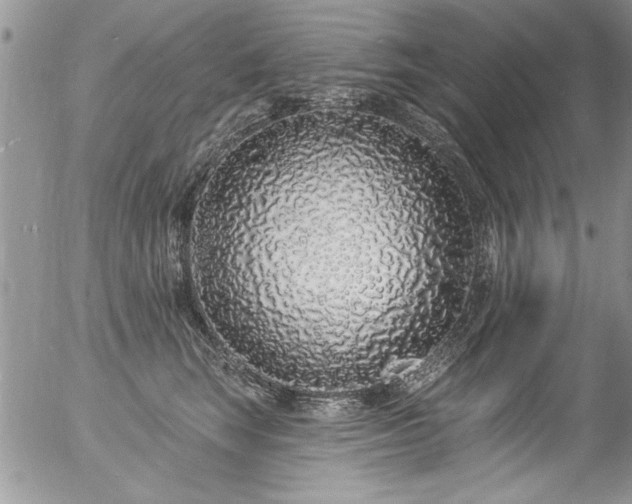 X0000057090663200509120920