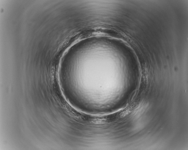 X0000057090664200509120920