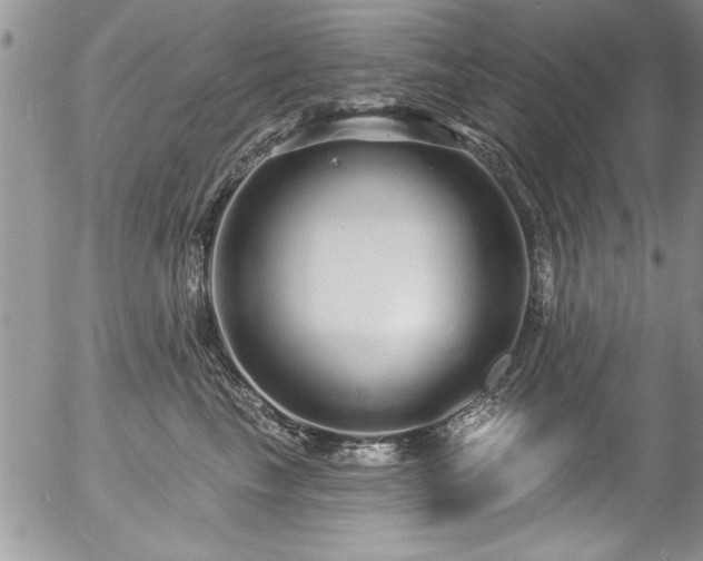 X0000057090665200509120920