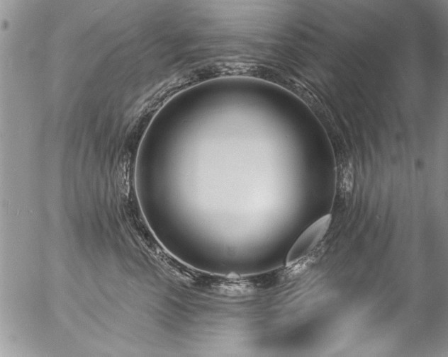 X0000057090666200509120920