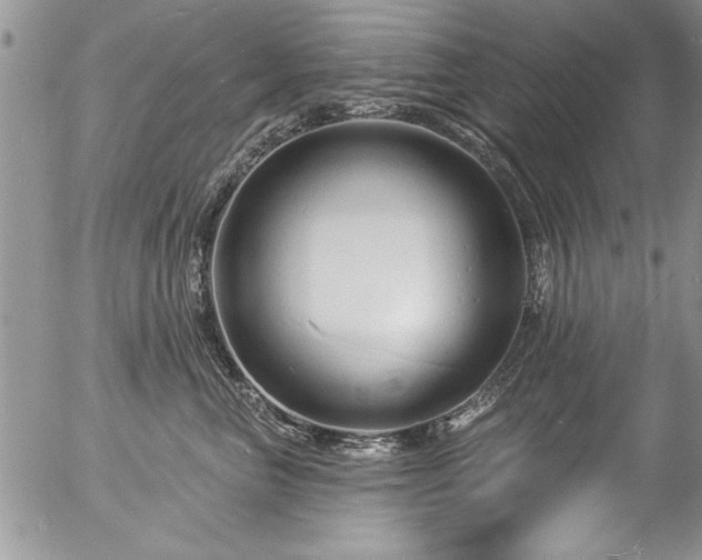 X0000057090667200509120920