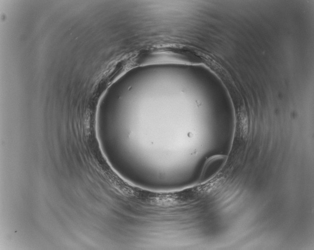 X0000057090668200509120920