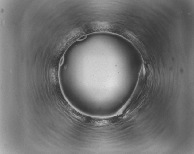 X0000057090669200509120920