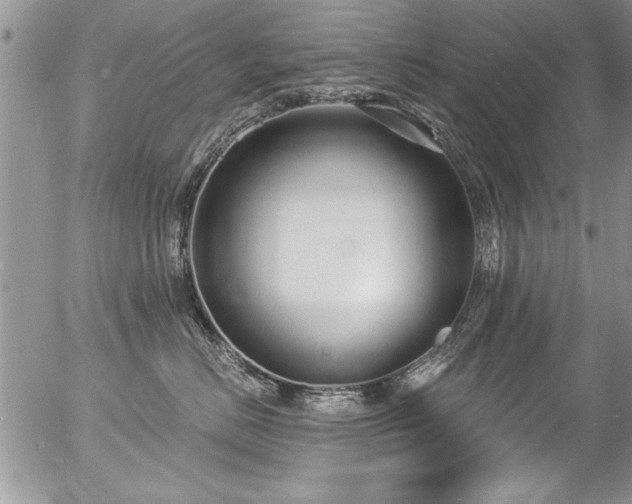 X0000057090670200509120920