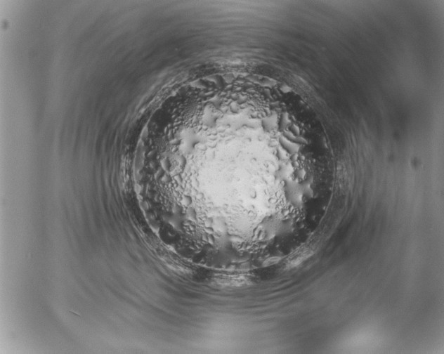 X0000057090671200509120920