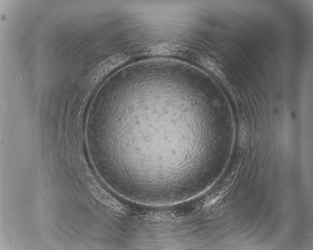 X0000057090673200509120920