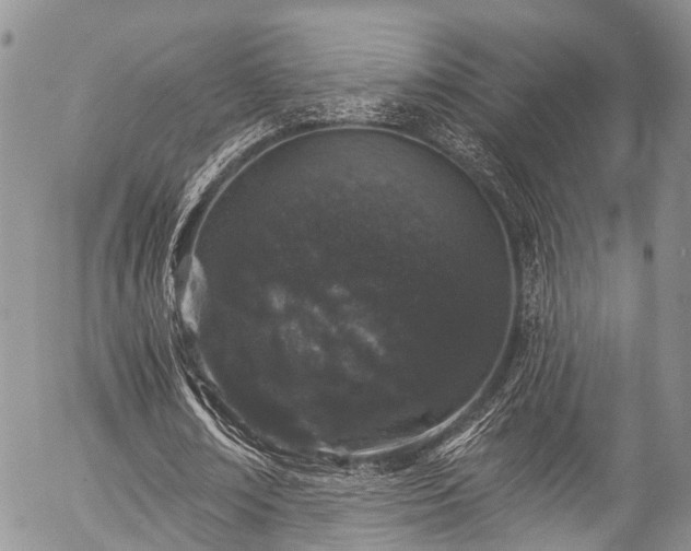 X0000057090674200509120920