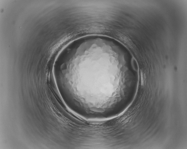 X0000057090675200509120920