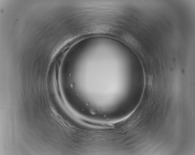 X0000057090676200509120920