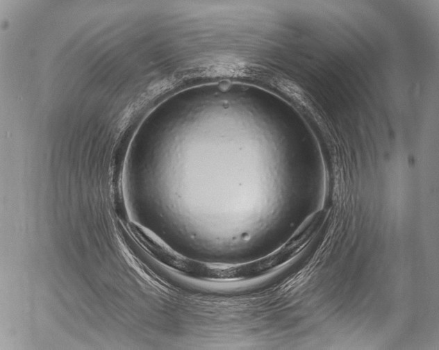 X0000057090677200509120920