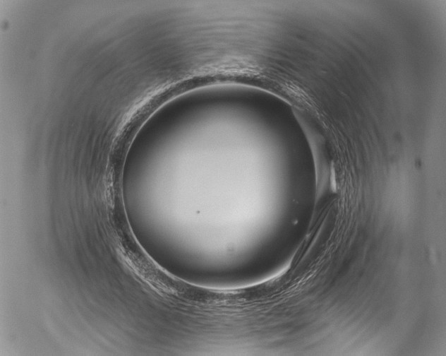 X0000057090680200509120920