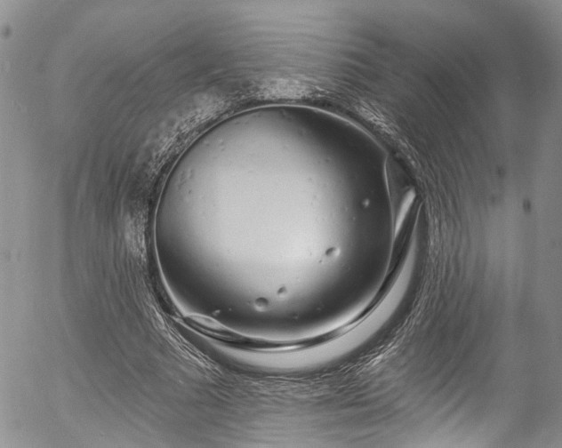 X0000057090681200509120920