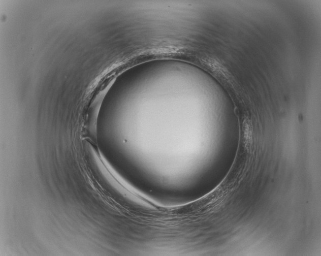 X0000057090684200509120919